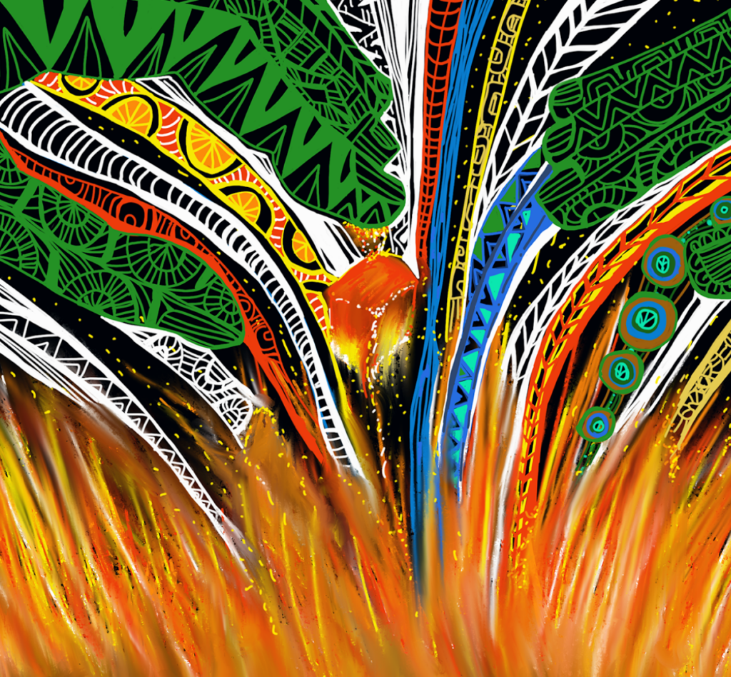 NAIDOC Week Statement from ANZSOG Dean and CEO Caron BeatonWells ANZSOG