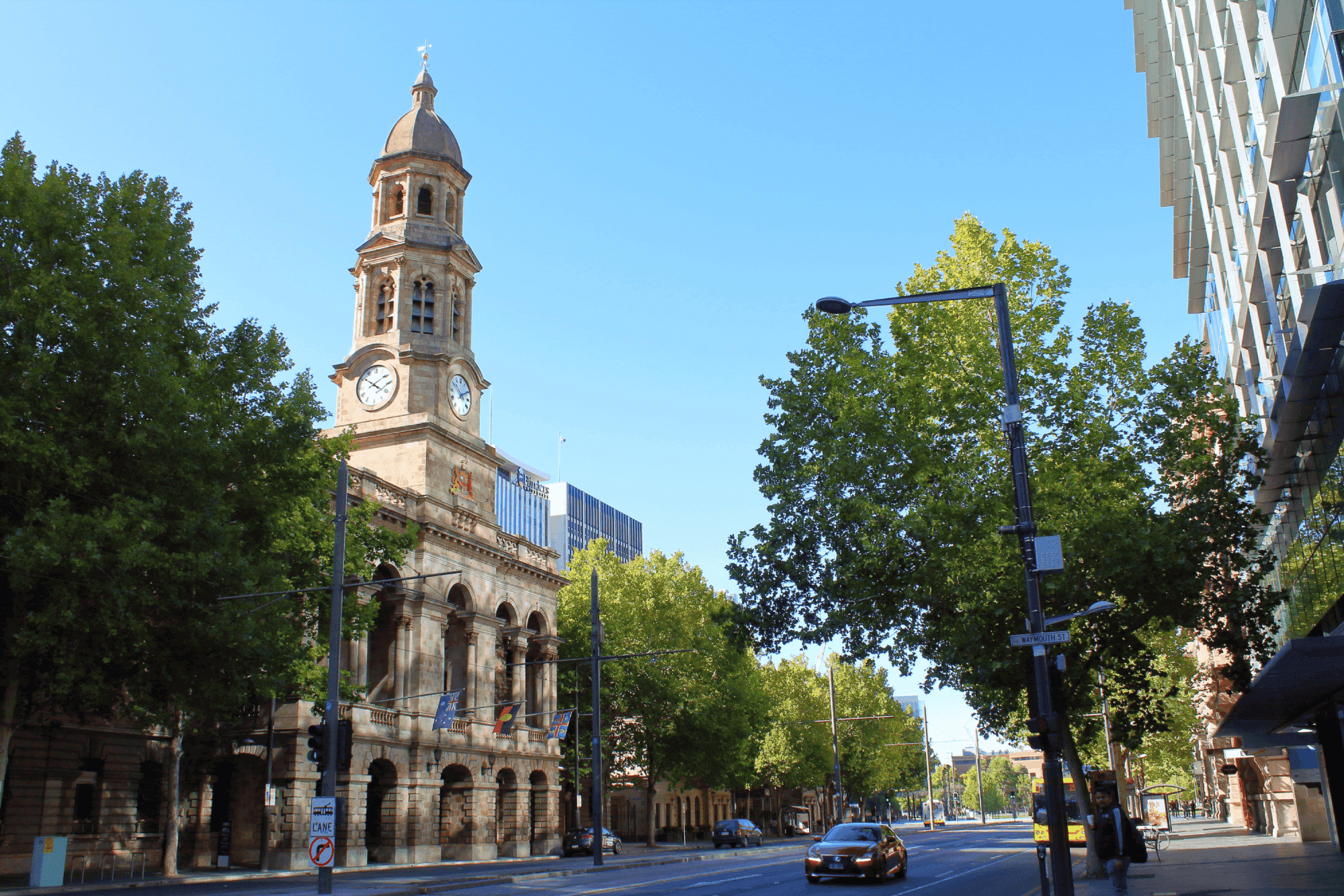 Historic building with clock tower on a tree-lined street, under a clear blue sky, with cars and modern structures in the background.