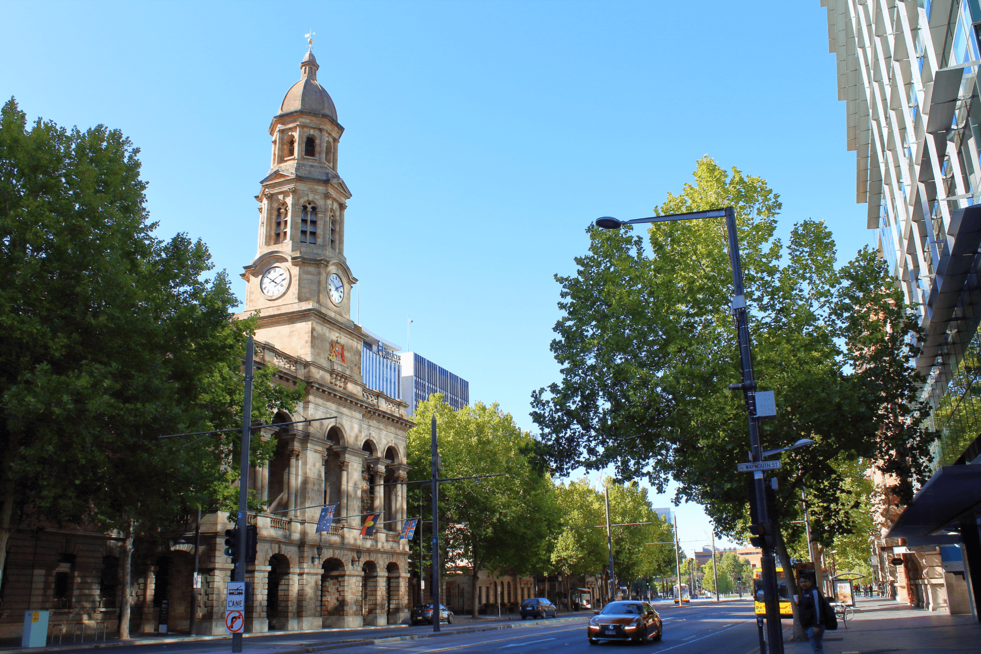 Historic building with clock tower on a tree-lined street, under a clear blue sky, with cars and modern structures in the background.