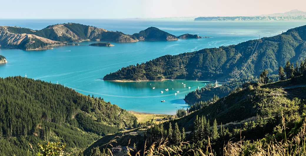 New Zealand landscape