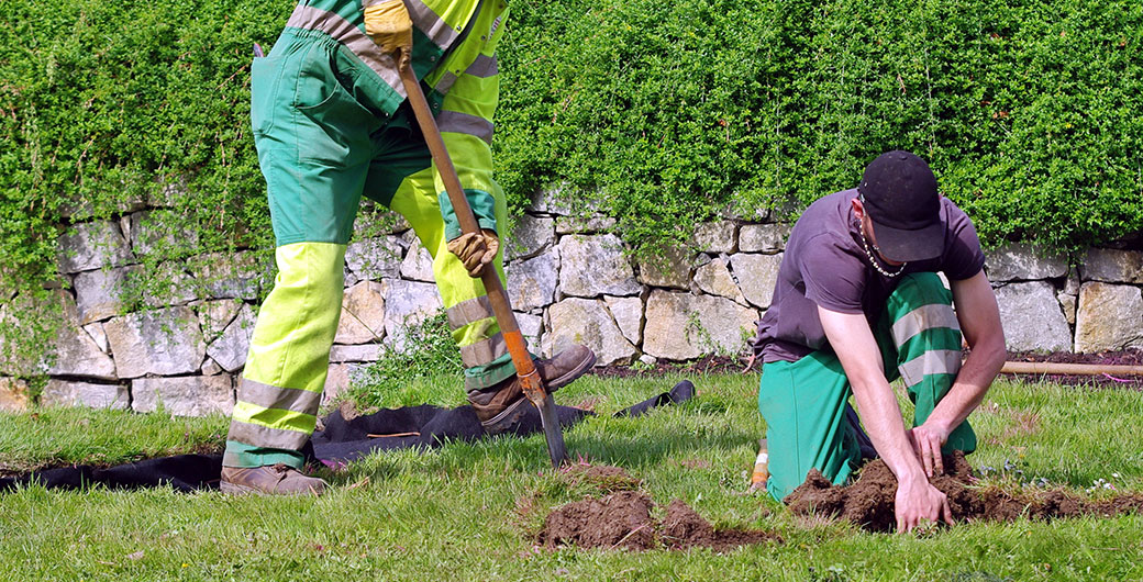 workers in garden