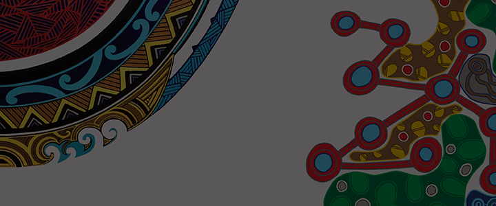 ANZSOG 2023 First Nations conference banner